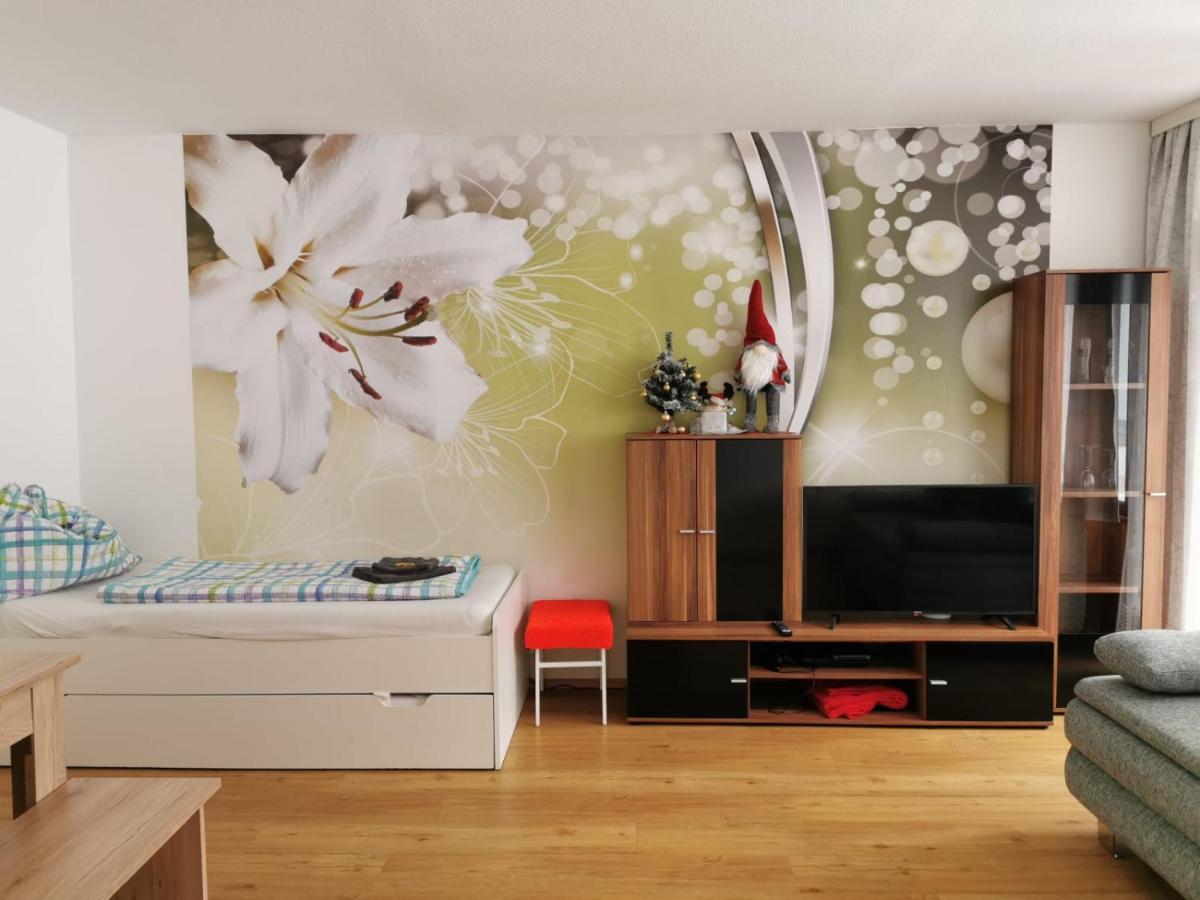Apartment Fewo Irdning Pichlarn Aigen im Ennstal Exterior photo