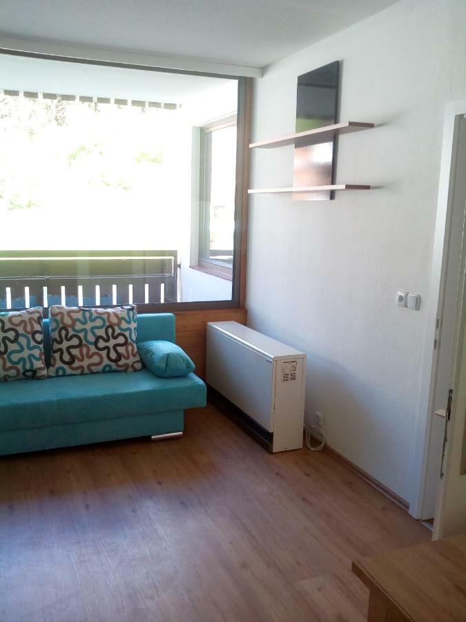 Apartment Fewo Irdning Pichlarn Aigen im Ennstal Exterior photo