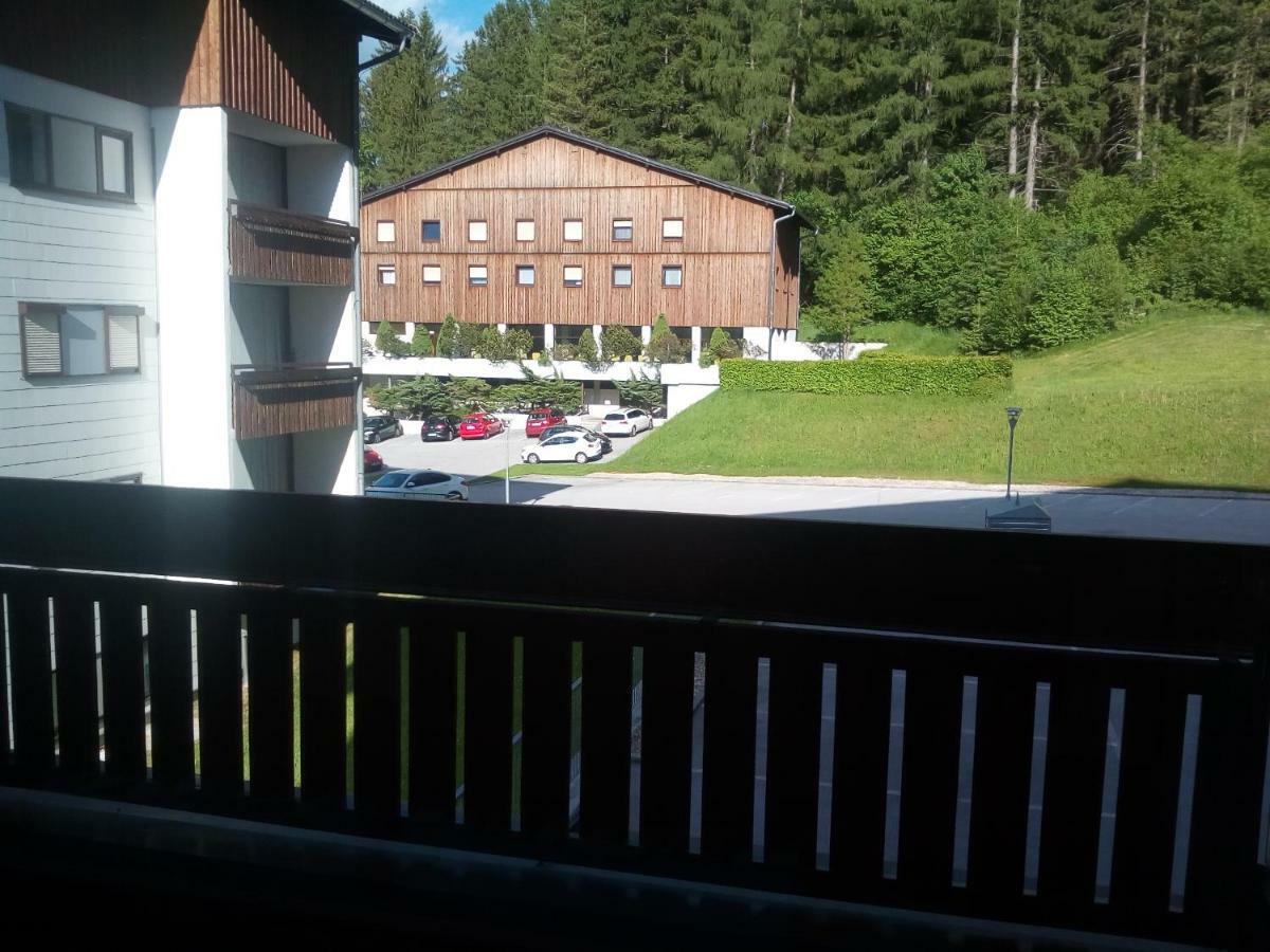 Apartment Fewo Irdning Pichlarn Aigen im Ennstal Exterior photo