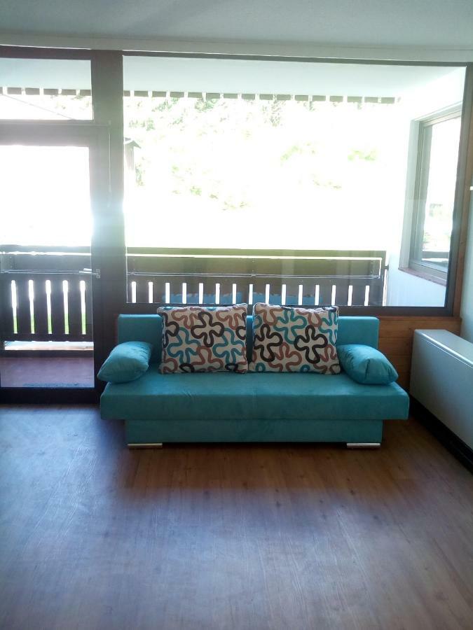 Apartment Fewo Irdning Pichlarn Aigen im Ennstal Exterior photo